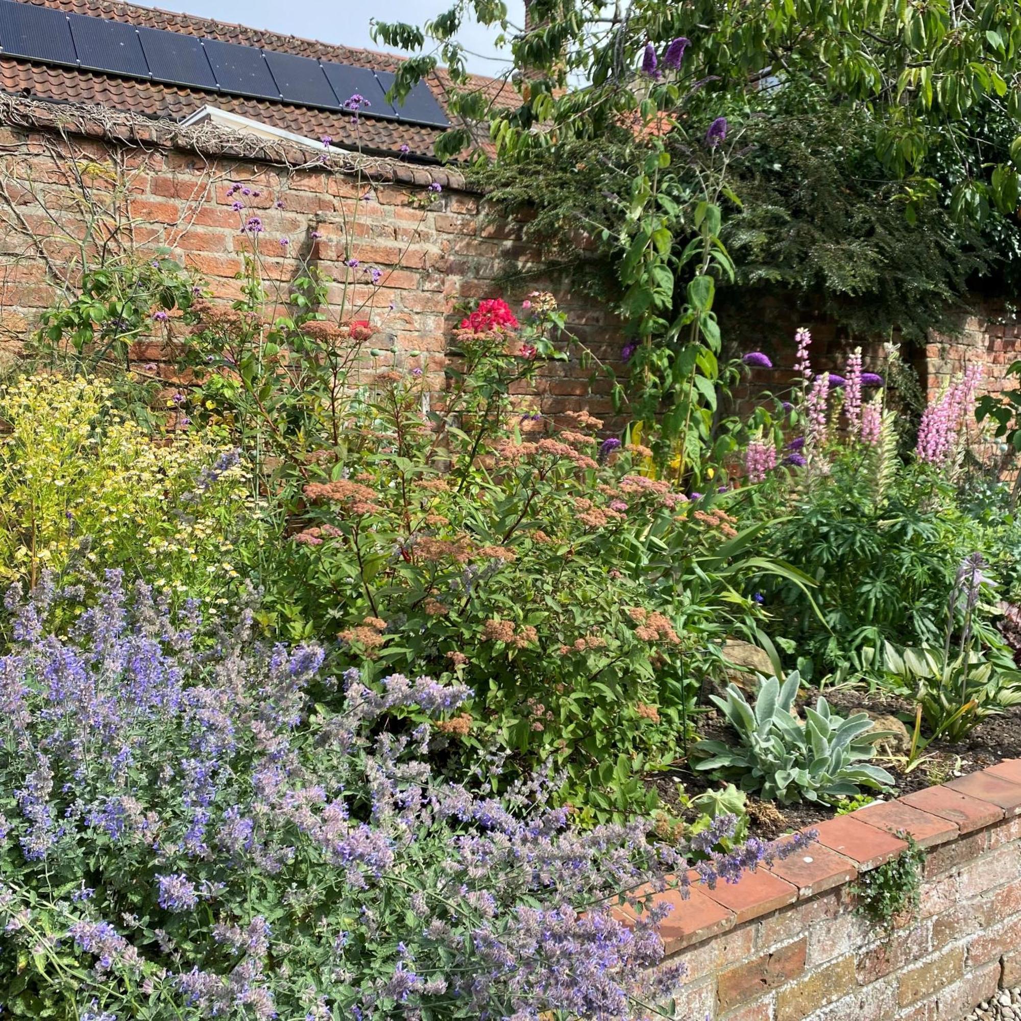 Caistor Bed & Breakfast Exterior photo